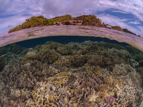 Southern Raja Ampat Snorkelling Holiday Indonesia Responsible Travel