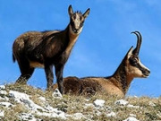 Abruzzo holidays, main image