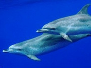Azores holidays, main image