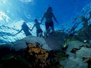 Bahamas holidays, main image