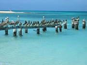 Caribbean holidays, main image