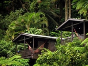 Dominica holidays, main image
