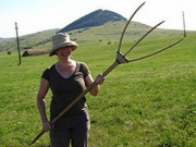Farmstays, main image