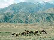 Georgia holidays, main image