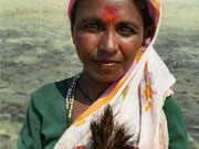India holidays, main image