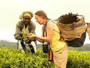 Cultural tours & holidays, main image