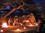 Safari bush camps and lodges, main image