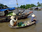 Mekong Delta holidays, main image