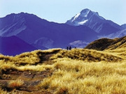 South Island holidays, main image