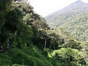 Papua New Guinea holidays, main image
