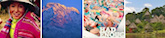 Visit responsibletravel.com on Pinterest