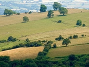 Powys holidays, main image