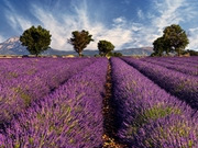 Provence holidays, main image