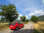 Self drive safaris, main image