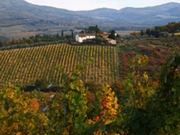 Tuscany holidays, main image