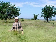 Ukraine holidays, main image