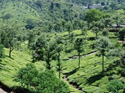 Western Ghats holidays, main image