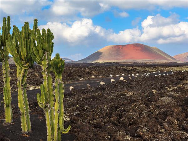 Lanzarote walking holiday in Canary Islands