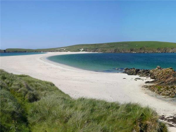 Shetland Isles wildlife holiday