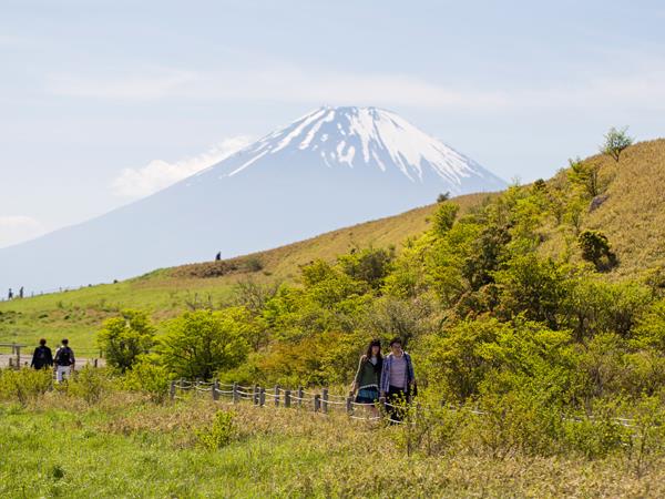 Japan small group holiday by bullet train