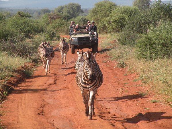 Family luxury safari & beach holiday, South Africa & Mozambique