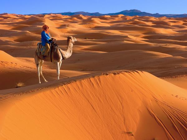 Morocco 15 day tour