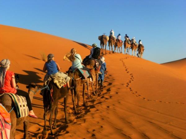 Morocco family holiday, camels & kasbahs