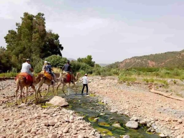 Mount Toubkal trek, privately guided