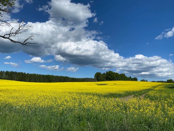 Self-guided cycling tour, Sweden