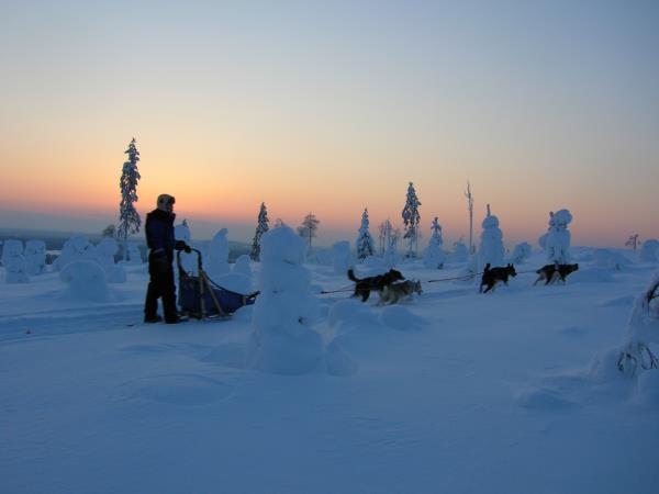 Lapland holiday, husky safari & log cottage