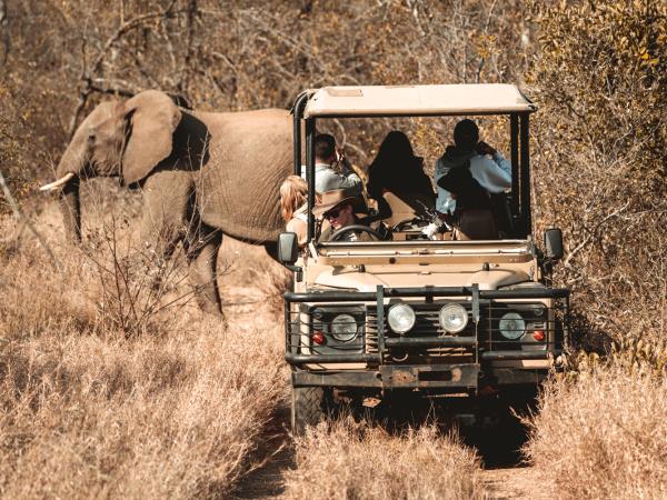 Wildlife monitoring holiday in South Africa