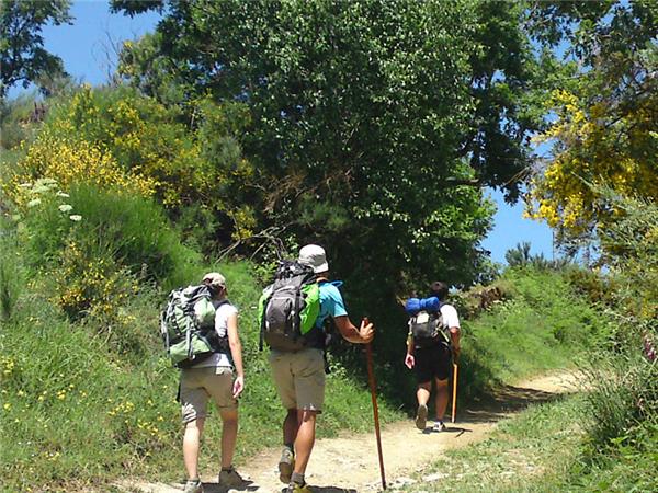 Camino de Santiago trekking holiday in Spain | Responsible Travel