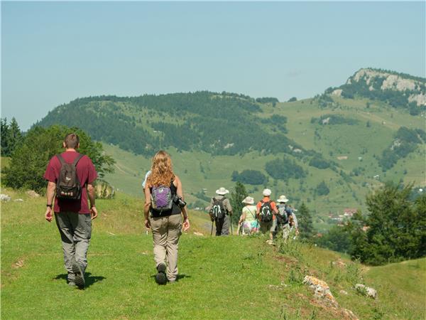 Carpathian Mountains holiday, conservation & culture