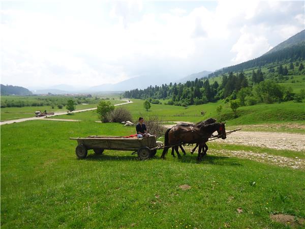 Carpathian Mountains holiday, conservation & culture