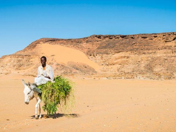 Sudan cultural holiday