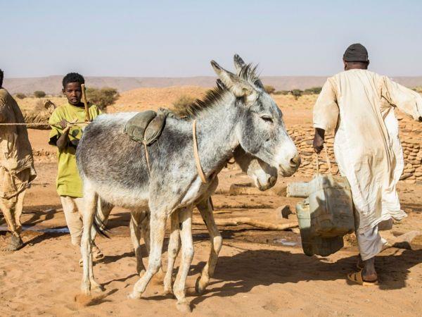 Sudan cultural holiday