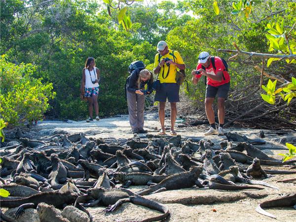 Inca trail and galapagos sale