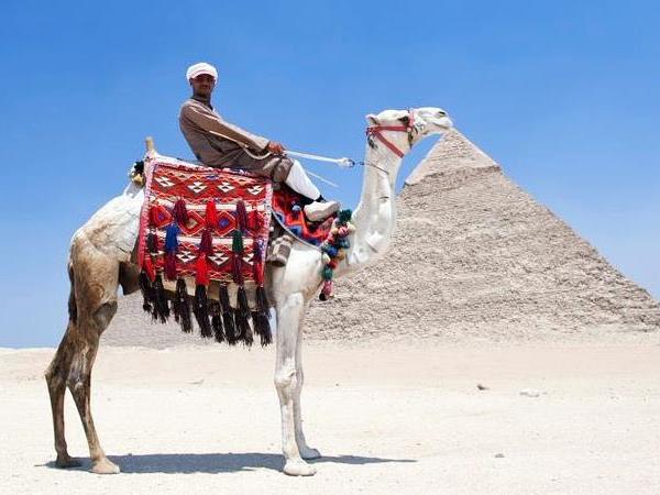 Egypt cultural holiday, small group