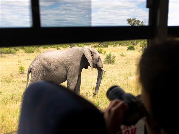 South African safaris for families with teenagers