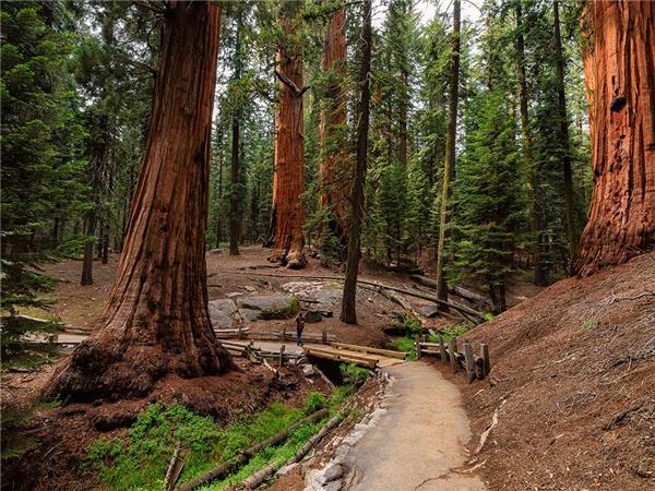 Walking holiday in Yosemite National Park