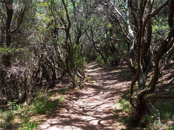 Walking holiday in Corfu, Greece