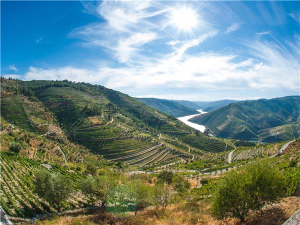 Walking and wine tour of Portugal