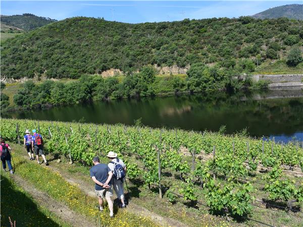 Walking and wine tour of Portugal