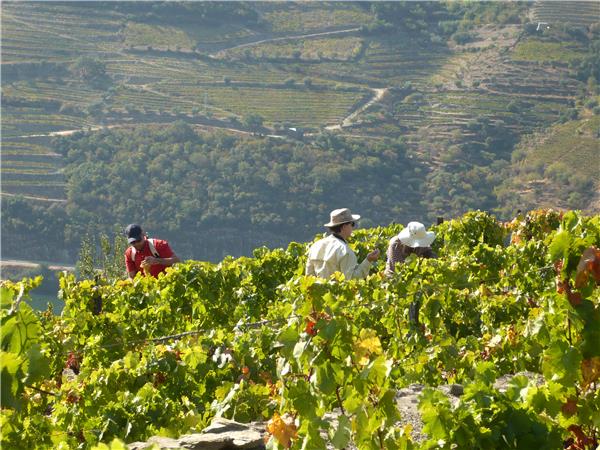 Walking and wine tour of Portugal