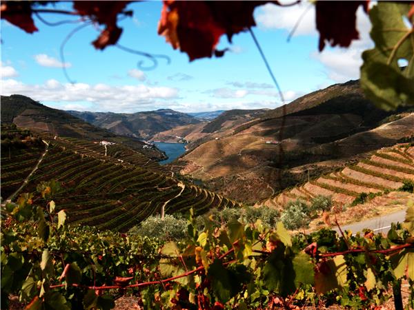 Walking and wine tour of Portugal