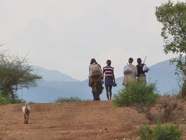 Wildlife and cultural tour to Ethiopia