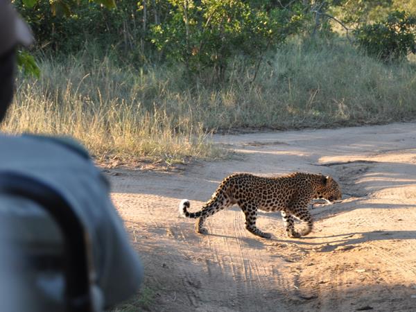 Three Reserve safari in South Africa | Responsible Travel