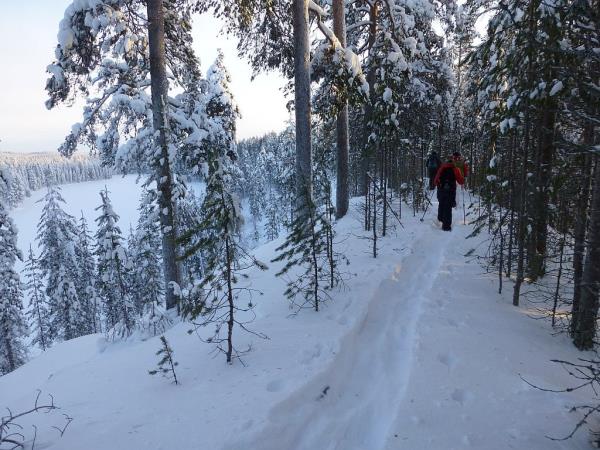 Snowshoeing holiday in Finland