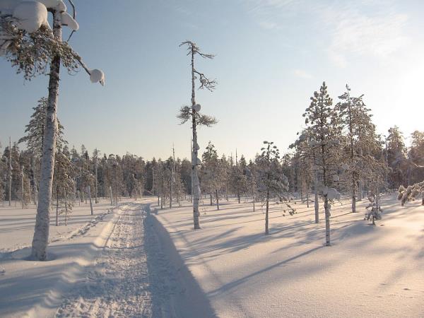 Snowshoeing holiday in Finland