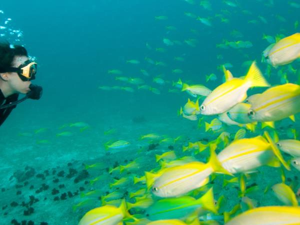 Seychelles island hopping cruise